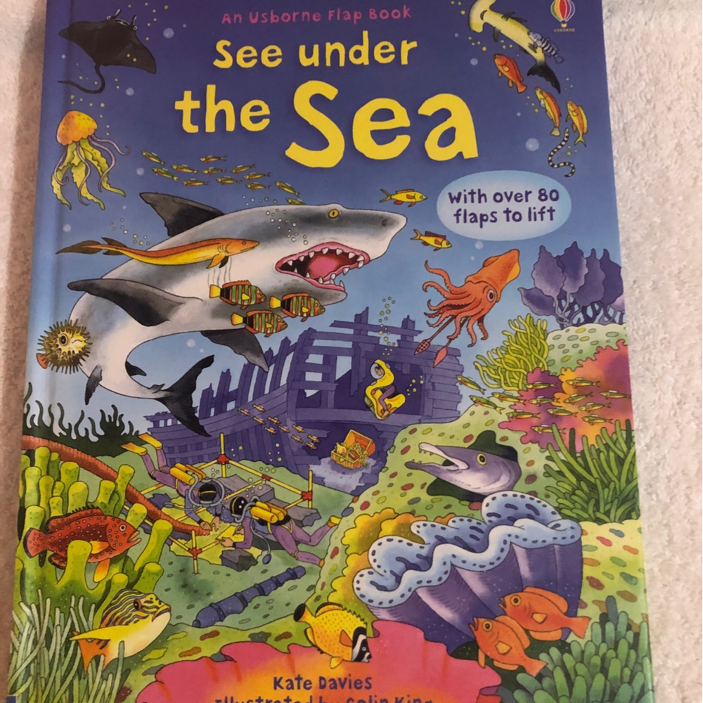 Kids Lift the flap book- Under the Sea-book sale